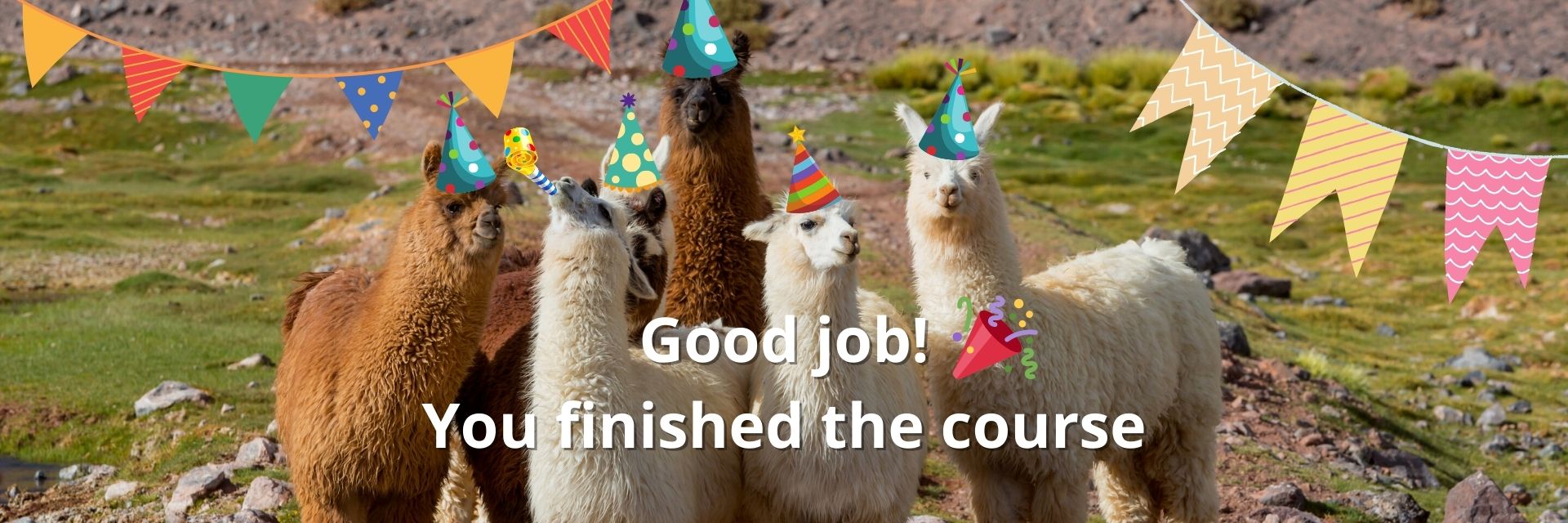 Good Job Llamas